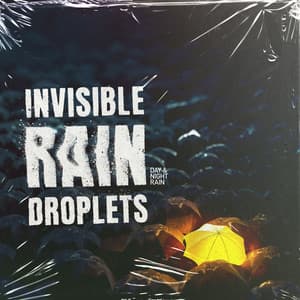 Invisible Rain Droplets - Day & Night Rain