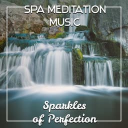 Spa Meditation Music: Sparkles of Perfection - Meditation Spa Music Ensemble