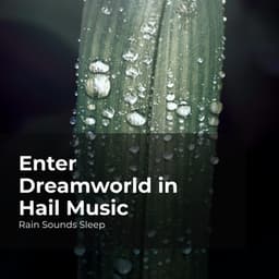 Enter Dreamworld in Hail Music - Rain Sounds Sleep