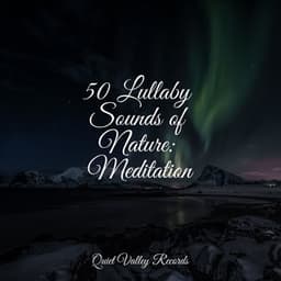 50 Lullaby Sounds of Nature: Meditation - Academia de Musica para Massagem Relaxamento