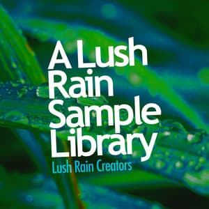 A Lush Rain Sample Library - Lush Rain Creators