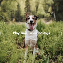 Play Time Tunes for Dogs - Calming Dog Jazz Classics
