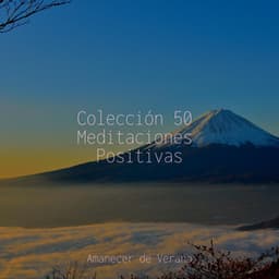 Colección 50 Meditaciones Positivas - Musica Reiki