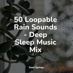 50 Soothing Winter Rain Tracks - Study Music