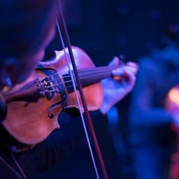 Classical Orchestra for Relaxing Dog Moments - Charles Anderson