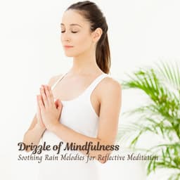Drizzle of Mindfulness: Soothing Rain Melodies for Reflective Meditation - Relaxation Rain Meditation