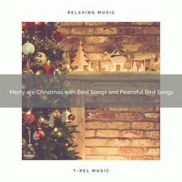 Merry are Christmas with Best Songs and Peaceful Bird Songs - Calming Sounds