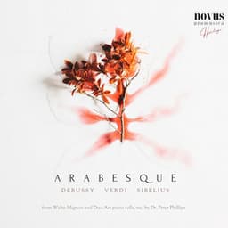 Arabesque. Piano Transcriptions of Debussy, Sibelius and Verdi - Robert Armbruster