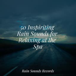 50 Inspiriting Rain Sounds for Relaxing at the Spa - Pro Sound Effects Library