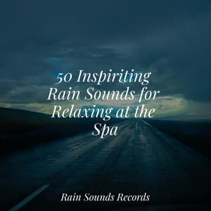 50 Inspiriting Rain Sounds for Relaxing at the Spa - Pro Sound Effects Library