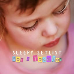 Sleepy Setlist for a Toddler - Jardim Zen