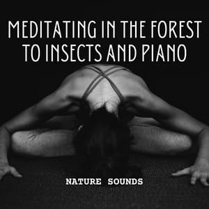 Nature Sounds: Meditating in the Forest to Insects and Piano - Piano Jazz Late Night