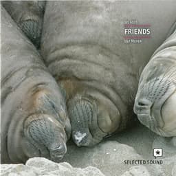 Friends - Ulf Meyer
