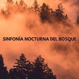 Sinfonía Nocturna Del Bosque - Sonidos naturales del bosque