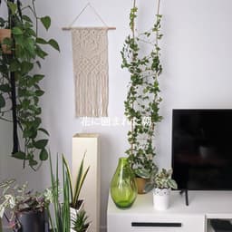 花に囲まれた朝 - Musica para Estudiar Ambiente