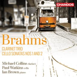 Brahms: Cello Sonatas & Clarinet Trio - Johannes Brahms