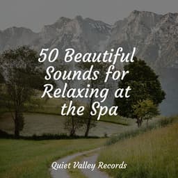 50 Beautiful Sounds for Relaxing at the Spa - Nature Sounds Radio