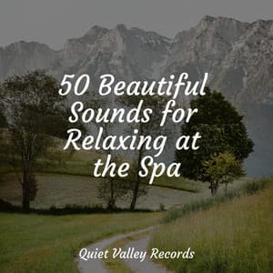 50 Beautiful Sounds for Relaxing at the Spa - Nature Sounds Radio