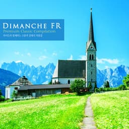 High-Quality Classic Works With Haydn - Dimanche FR