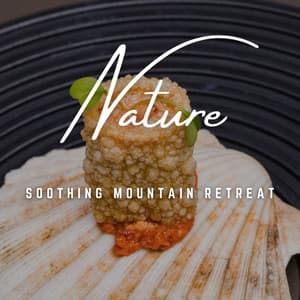 Mountain Spa Harmony: High Altitude Bliss - Acupuncture Music