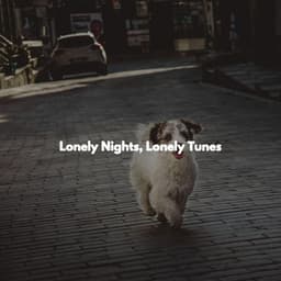 Lonely Nights, Lonely Tunes - Chill Music for Reading