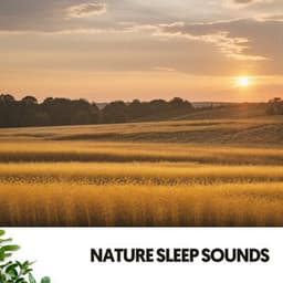 Sonidos de la Naturaleza: Nanas de la serenidad - Dog Relaxation