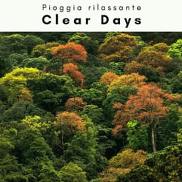 1 o 1 Clear Days - Pioggia rilassante