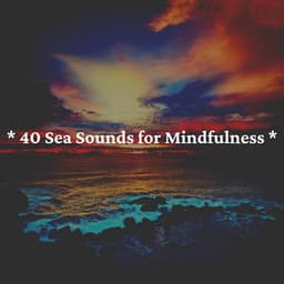 * 40 Sea Sounds for Mindfulness * - Ocean Sounds