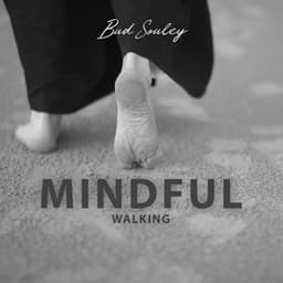 Mindful Walking: Kinhin Meditation Music - Bud Souley