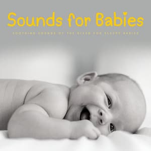 Sounds For Babies: Soothing Sounds Of The River For Sleepy Babies - Baby Sleep Conservatory