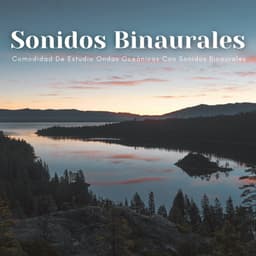 Comodidad De Estudio Ondas Oceánicas Con Sonidos Binaurales - Estudio Ondas Alfa