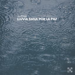 Lluvia Sana por la Paz - Ruido de Lluvia