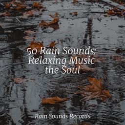 50 Rain Sounds: Relaxing Music the Soul - Study Music & Sounds