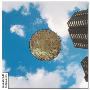 Narrominded Split LP Series #3 - Mats Gustafsson / Cor Fuhler