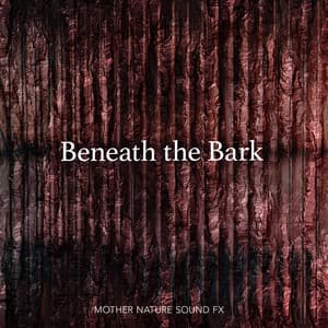 Beneath the Bark - Mother Nature Sound FX