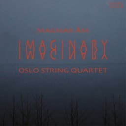 Imaginary - Magnar Åm