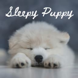 Sleepy Puppy: Gentle Piano for Dogs, Birds Sounds for Dog Relaxation - Pet Care Club