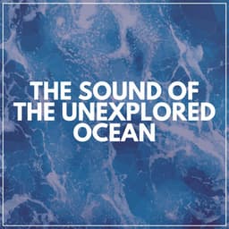 The Sound of the Unexplored Ocean - Wave Sound Group