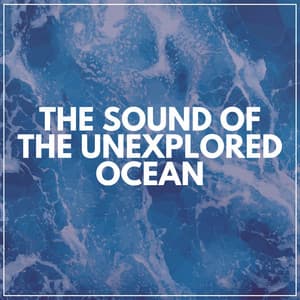 The Sound of the Unexplored Ocean - Wave Sound Group