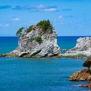 Life and Changes - Niigata