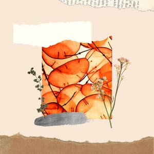 Music for Simple Reflections - No Drums Jazz - Café Música Ambiente