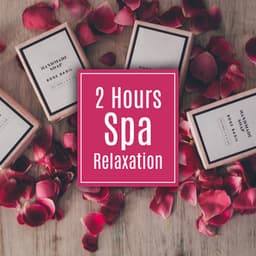 2 Hours Spa Relaxation: Calm Mind Music, Perfect Evening Bath, Heal Your Body from the Daily Stress, Massage, Top of the USA, Summer Rest 2019 - Spa Massage Solution