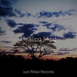Healing Mind - Exam Study Classical Music