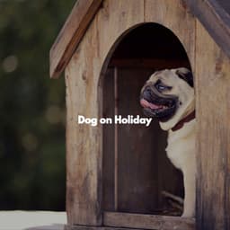 Dog on Holiday - Dog Music Hour