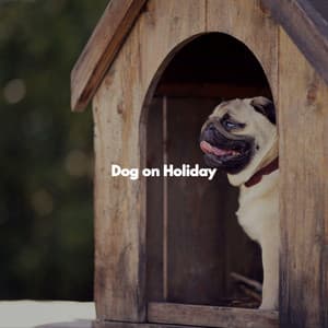 Dog on Holiday - Dog Music Hour