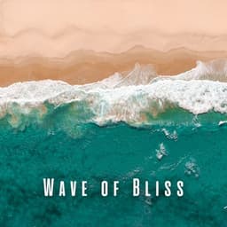 Wave of Bliss: Serene Oceanic Massage with Ambient Sounds - Waveseekers
