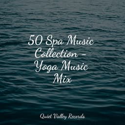 50 Spa Music Collection - Yoga Music Mix - Spa Music Collective