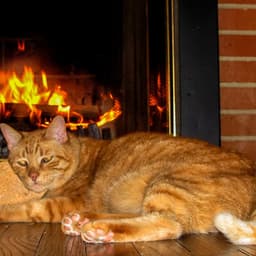 Serenity in Purring Flames: Music for Stress Relief - Ultimate Fire Experience