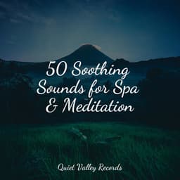 50 Soothing Sounds for Spa & Meditation - Pink Noise