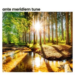 Ante Meridiem Tune - Deep Relaxation Meditation Academy